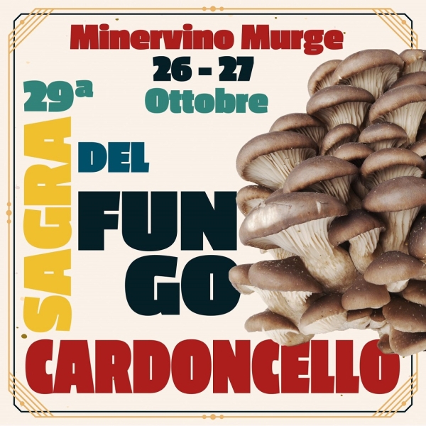 minervino-cardoncello-26ott24